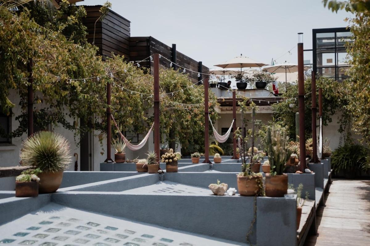 Casa Lomah Hotel Mexikóváros Kültér fotó
