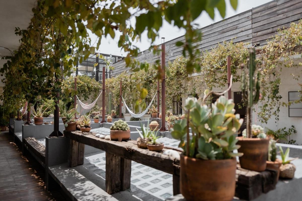 Casa Lomah Hotel Mexikóváros Kültér fotó